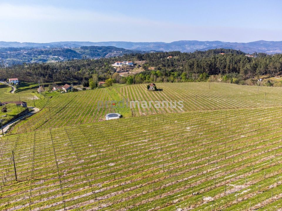 Farm i Amarante, Porto - foto 5