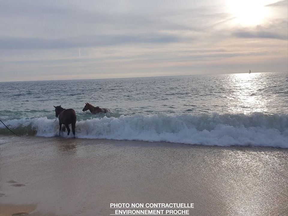 Helårsgrund i Plouhinec, Morbihan - foto 2