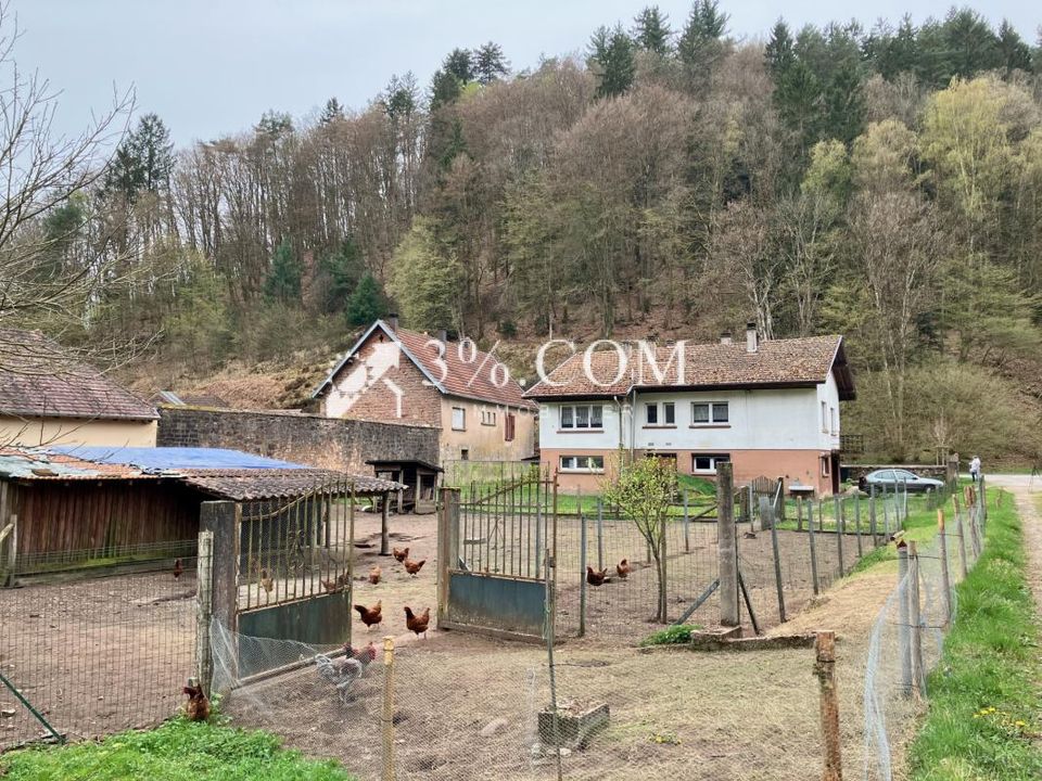 Villa i Sturzelbronn, Moselle - foto 4