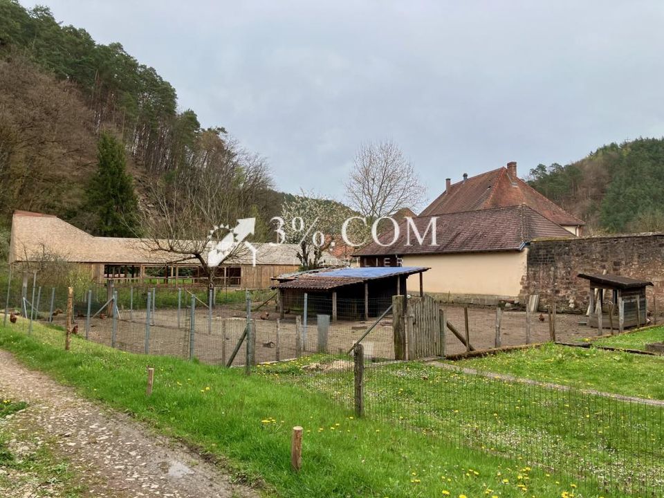 Villa i Sturzelbronn, Moselle - foto 5