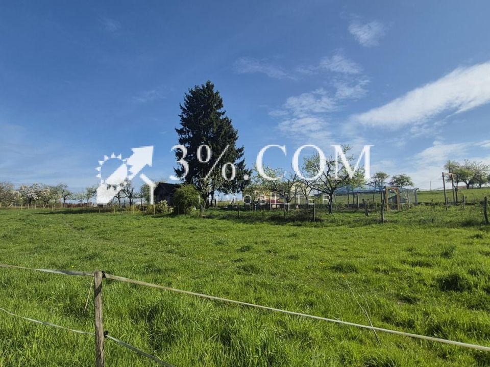 Farm hus i Liederschiedt, Moselle - foto 4