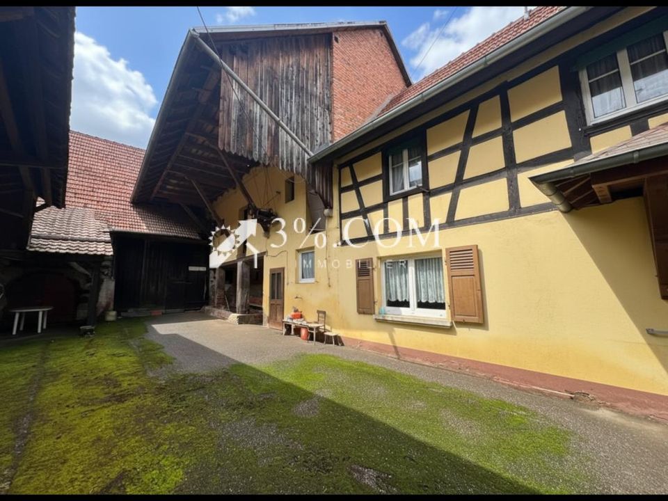 Farm hus i Ingenheim, Bas-Rhin - foto 4