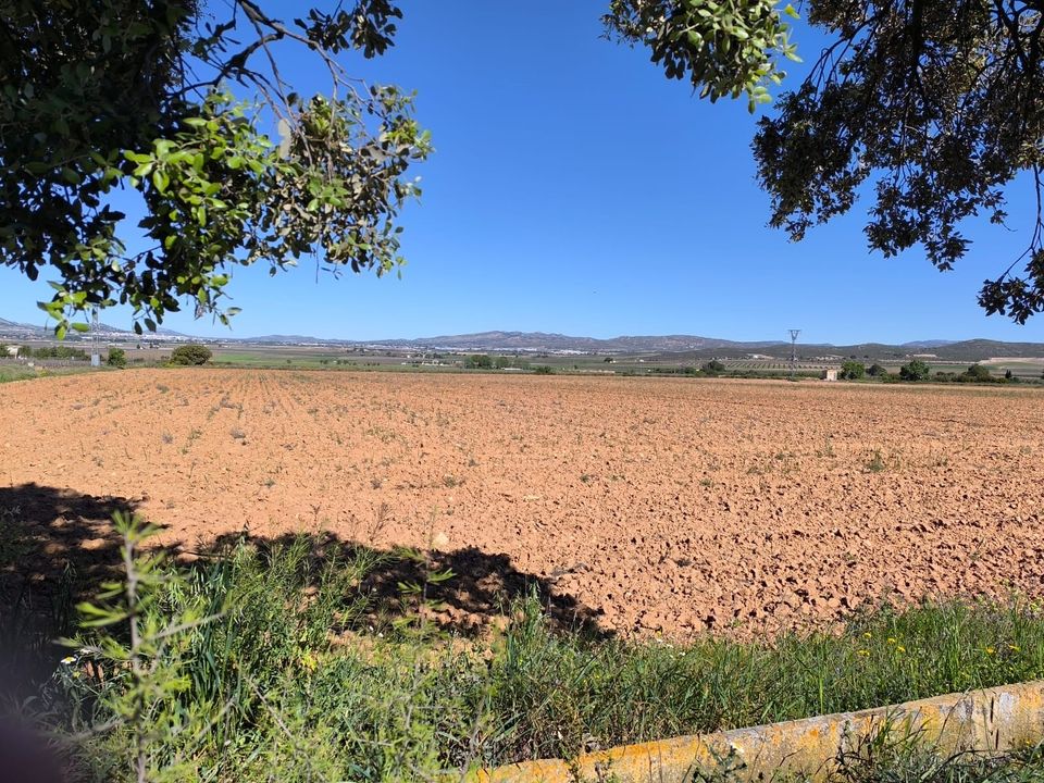 Helårsgrund i Yecla, Murcia - foto 1