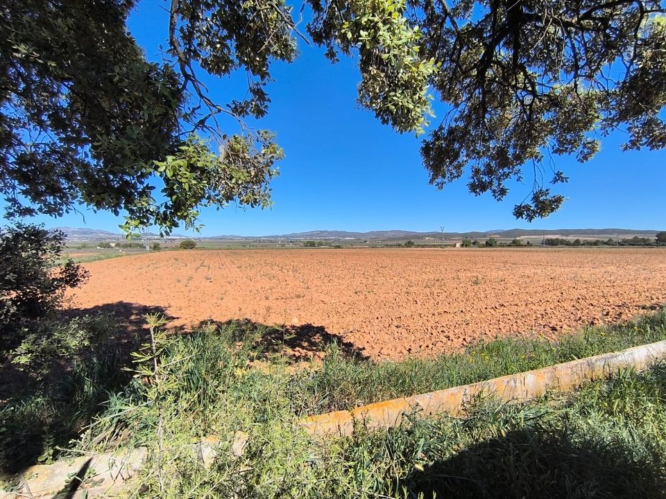 Helårsgrund i Yecla, Murcia - foto 2