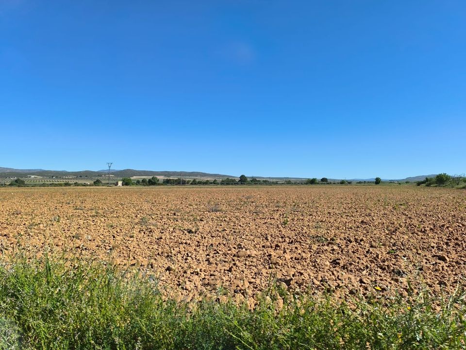Helårsgrund i Yecla, Murcia - foto 3
