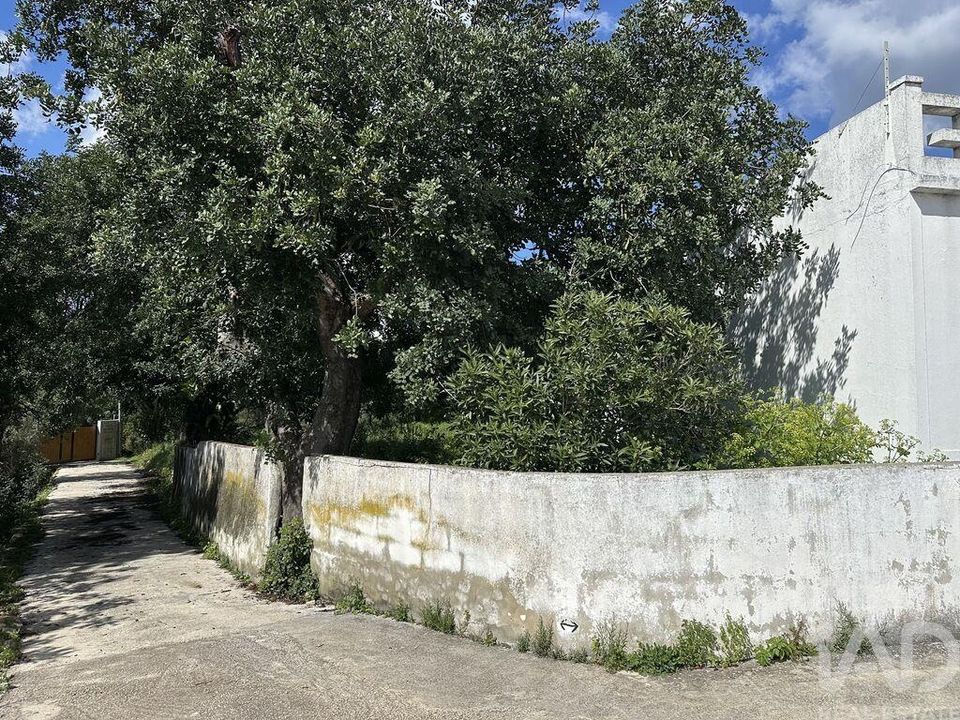 Byhus i Loule, Faro - foto 4
