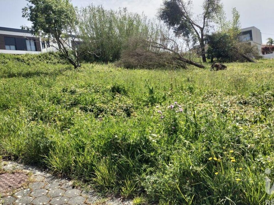 Helårsgrund i Leiria, Leiria - foto 5