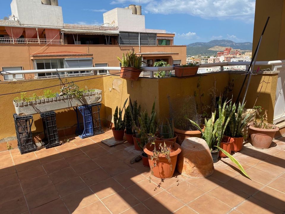Penthouse i Palma De Mallorca, Mallorca - foto 5
