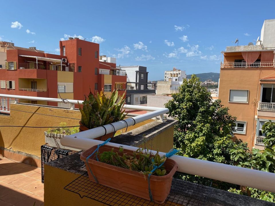 Penthouse i Palma De Mallorca, Mallorca - foto 1
