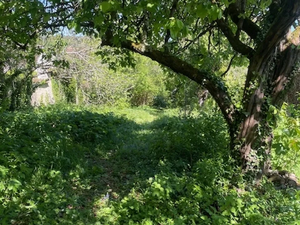 Helårsgrund i Thomery, Seine-et-Marne - foto 3