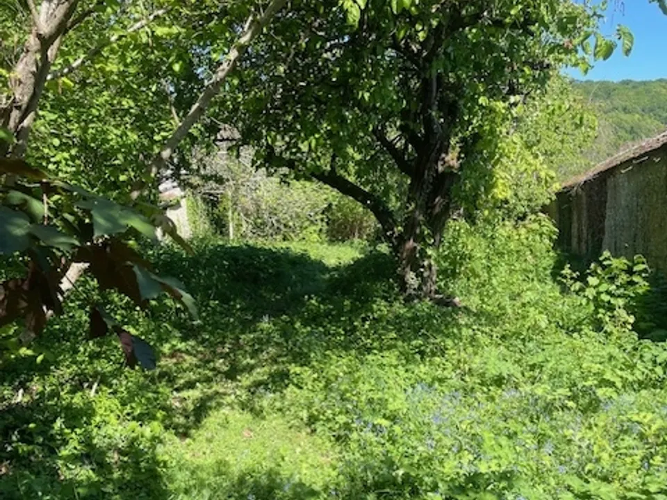 Helårsgrund i Thomery, Seine-et-Marne - foto 4