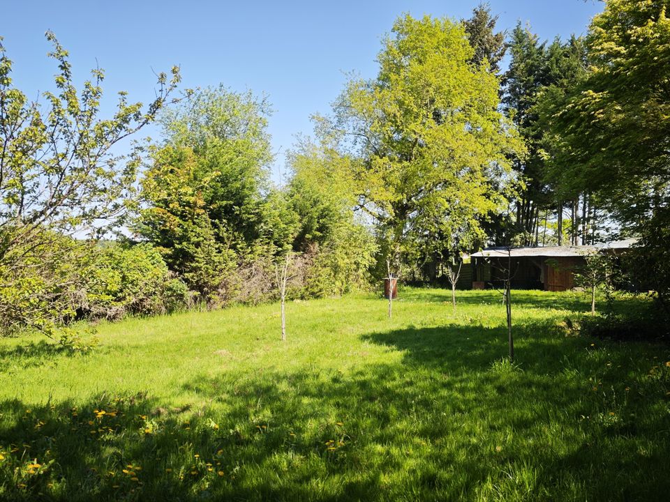 Villa i Rouy, Nievre - foto 3