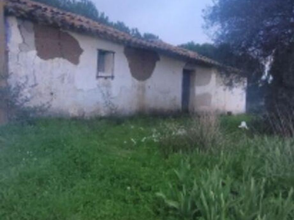 Farm i Odemira, Beja - foto 3