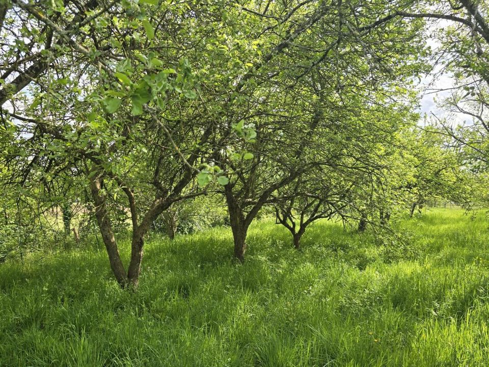 Helårsgrund i Précigné, Sarthe - foto 2