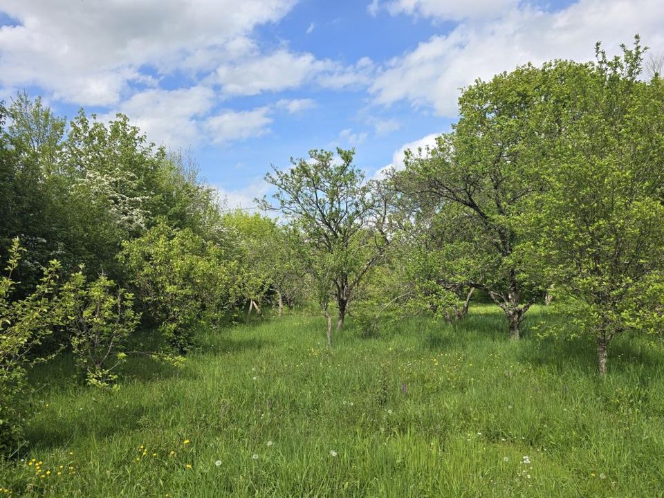Helårsgrund i Précigné, Sarthe - foto 4