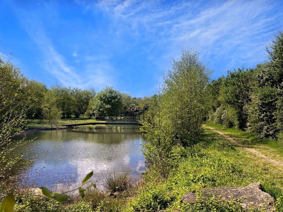 Villa i Saint-Philbert-De-Bouaine, Vendee - foto 3