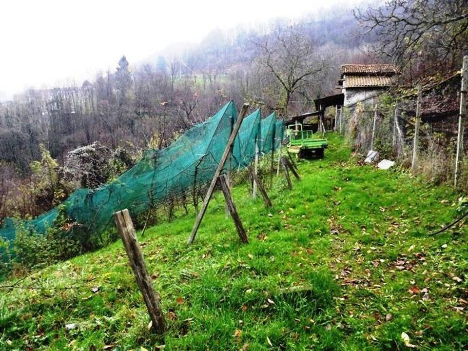 Tomt i Val Brembilla, Bergamo - bilde 3