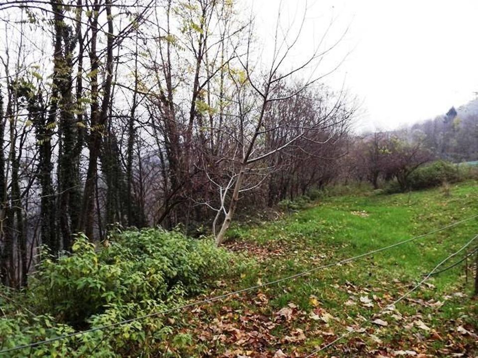 Tomt i Val Brembilla, Bergamo - bilde 4
