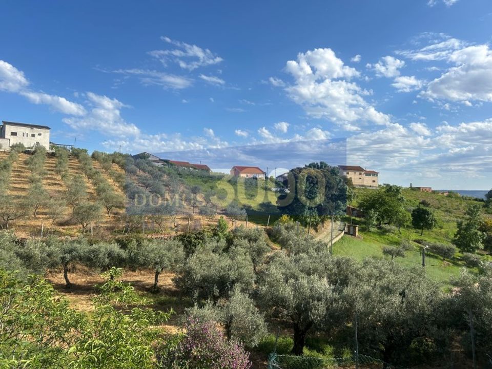 Hus på landet i Murca, Vila Real - foto 1