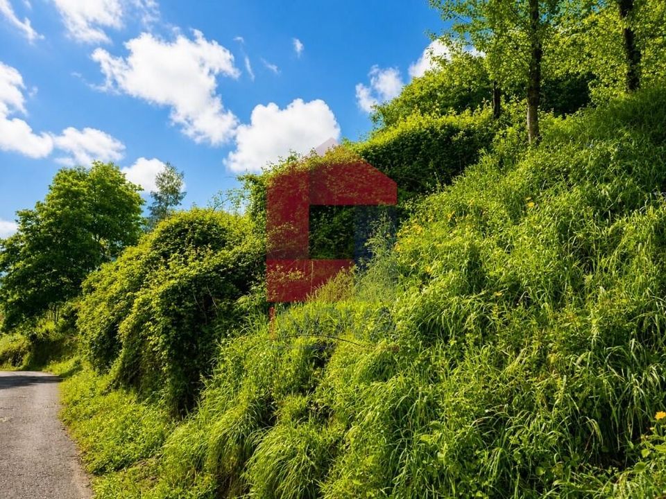 Helårsgrund i Vila Verde, Braga - foto 4