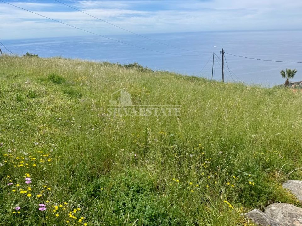Helårsgrund i Ribeira Brava, Madeira - foto 3
