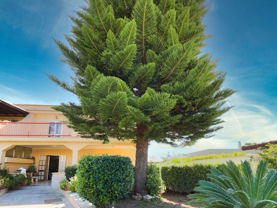 Villa in Taranto, Taranto - foto 5