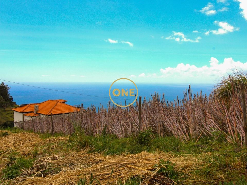 Helårsgrund i Ponta do Sol, Madeira - foto 1
