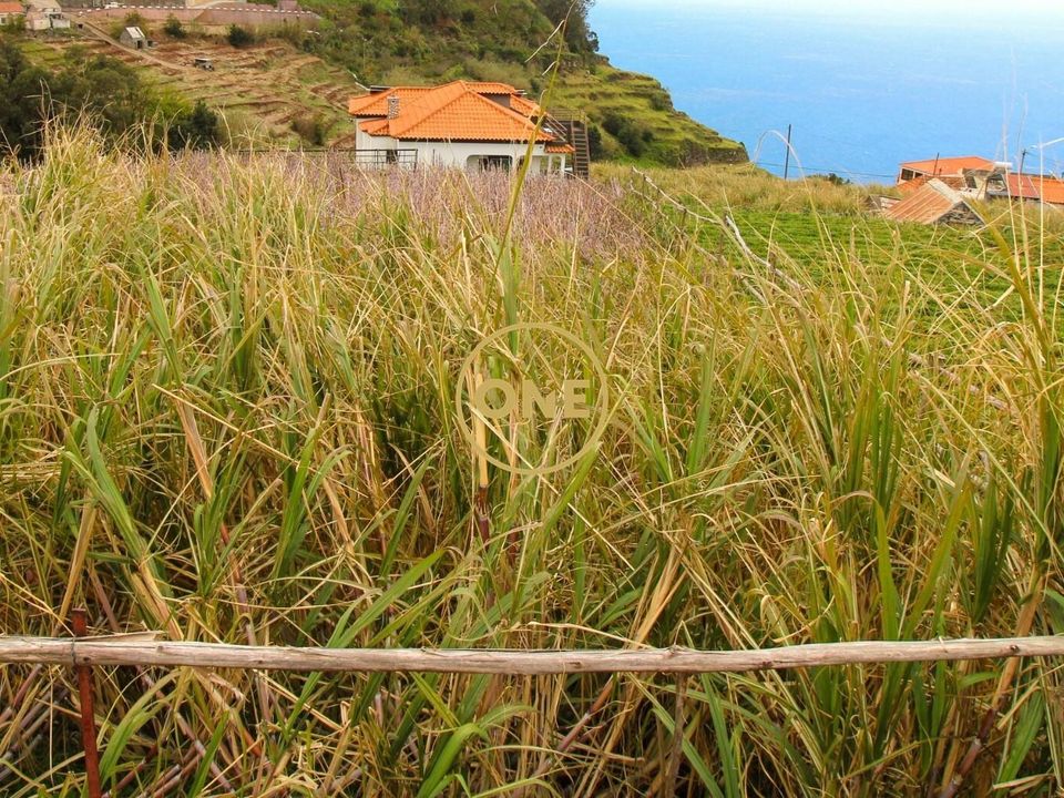 Helårsgrund i Ponta do Sol, Madeira - foto 3