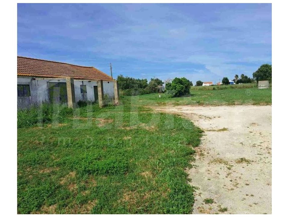 Erhvervsejendom i Benavente, Santarem - foto 2