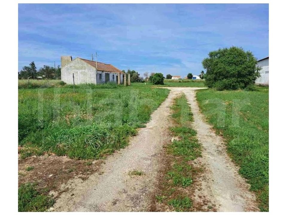 Erhvervsejendom i Benavente, Santarem - foto 3