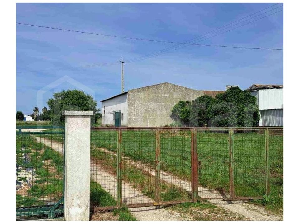 Erhvervsejendom i Benavente, Santarem - foto 4