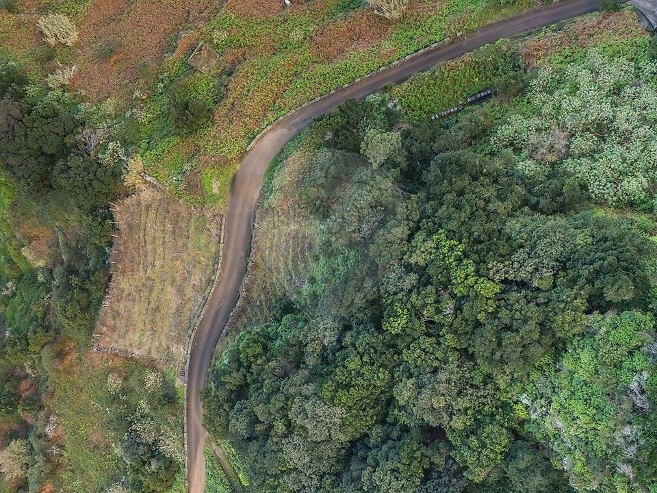 Helårsgrund i Santana, Madeira - foto 3
