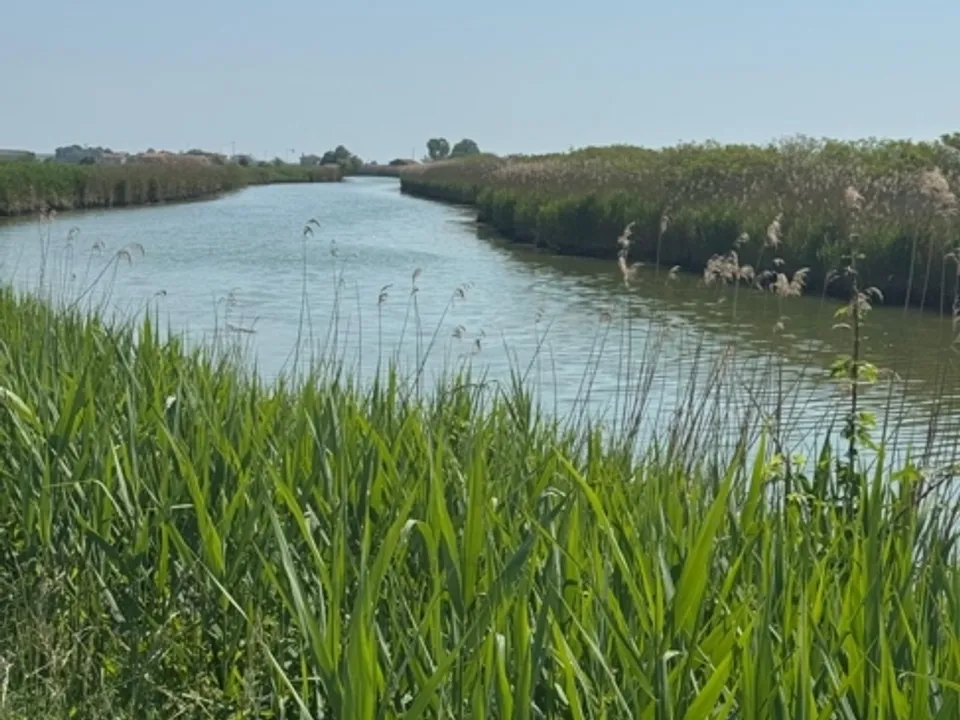 Herregård i Caorle, Venice - bilde 3