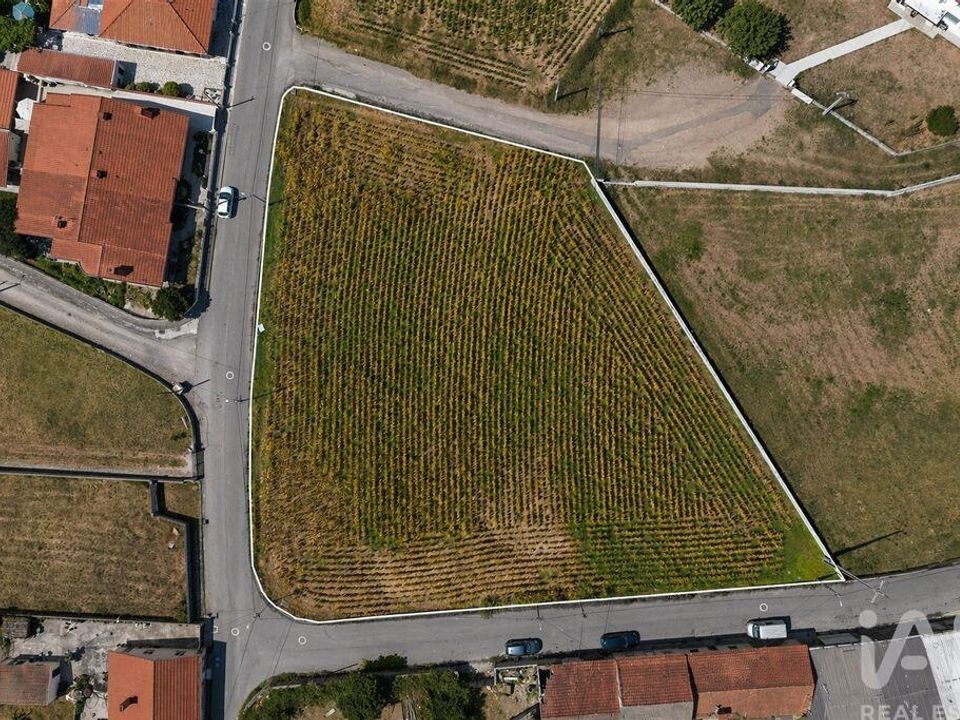 Terra a Ovar, Aveiro - foto 1