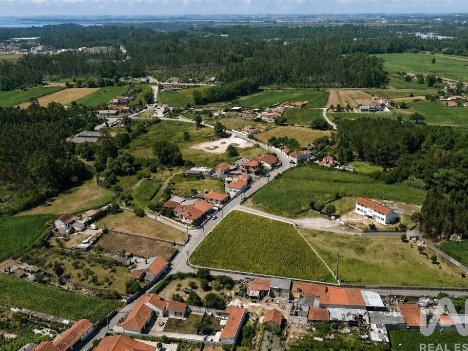 Terra a Ovar, Aveiro - foto 3