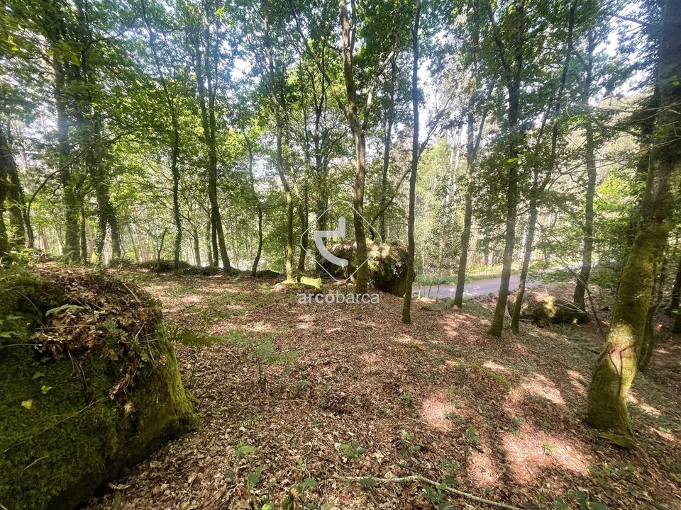 Helårsgrund i Paredes de Coura, Viana do Castelo - foto 1