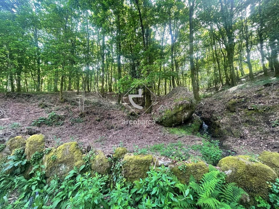 Helårsgrund i Paredes de Coura, Viana do Castelo - foto 3