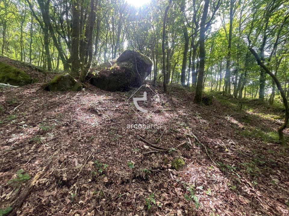 Helårsgrund i Paredes de Coura, Viana do Castelo - foto 4