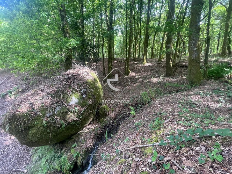 Helårsgrund i Paredes de Coura, Viana do Castelo - foto 5