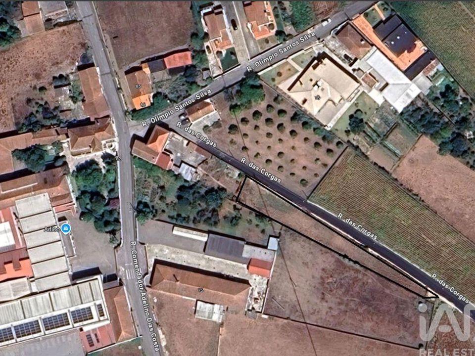 Terra a Estarreja, Aveiro - foto 5