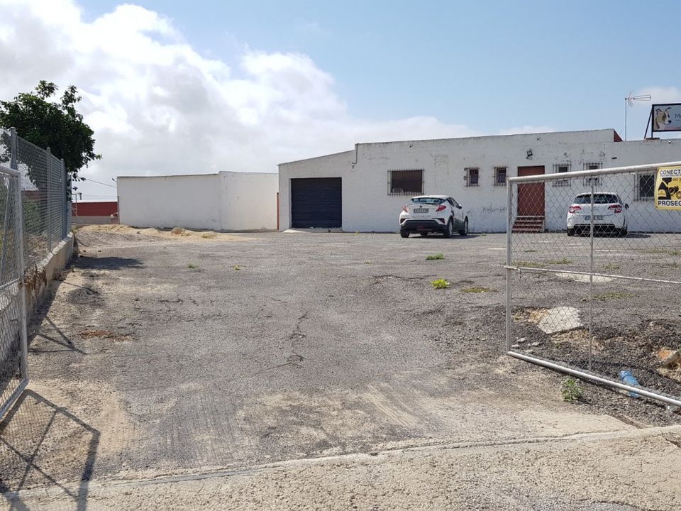 Finca a Los Montesinos, Alicante - foto 5