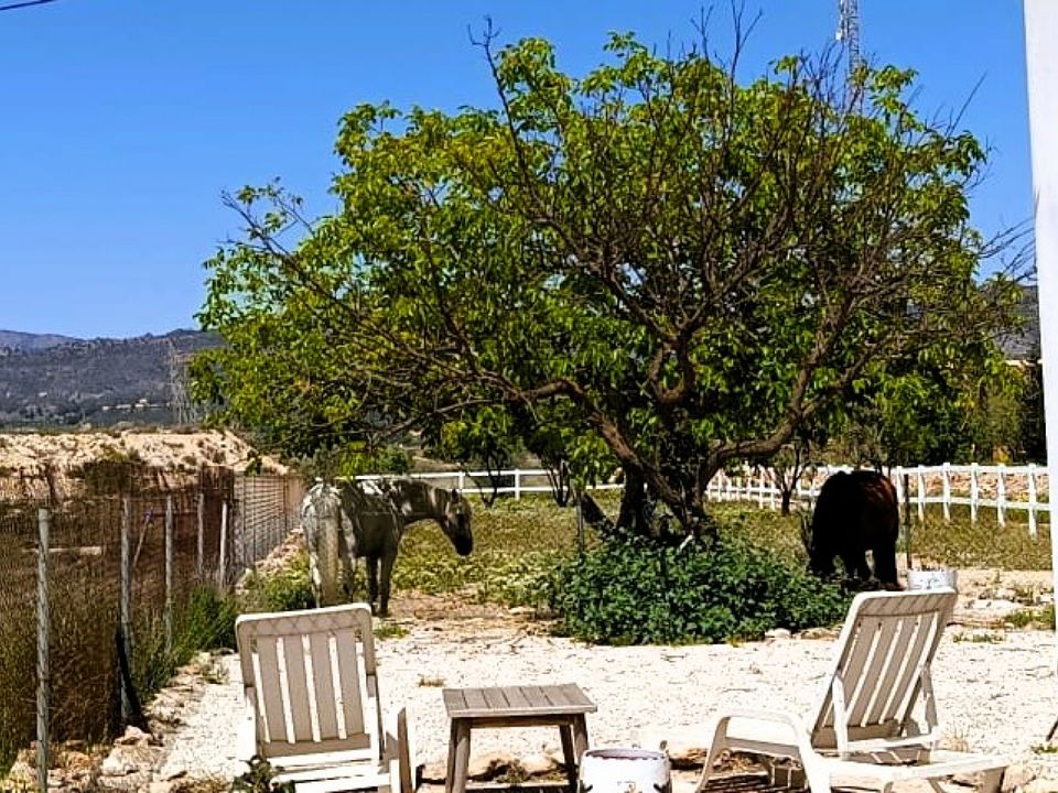 Casa rural em Monovar, Alicante - foto 4