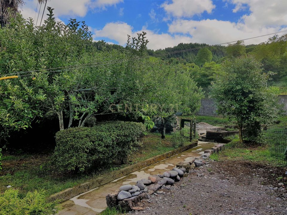 Villa i Furnas, Sao Miguel - bilde 4