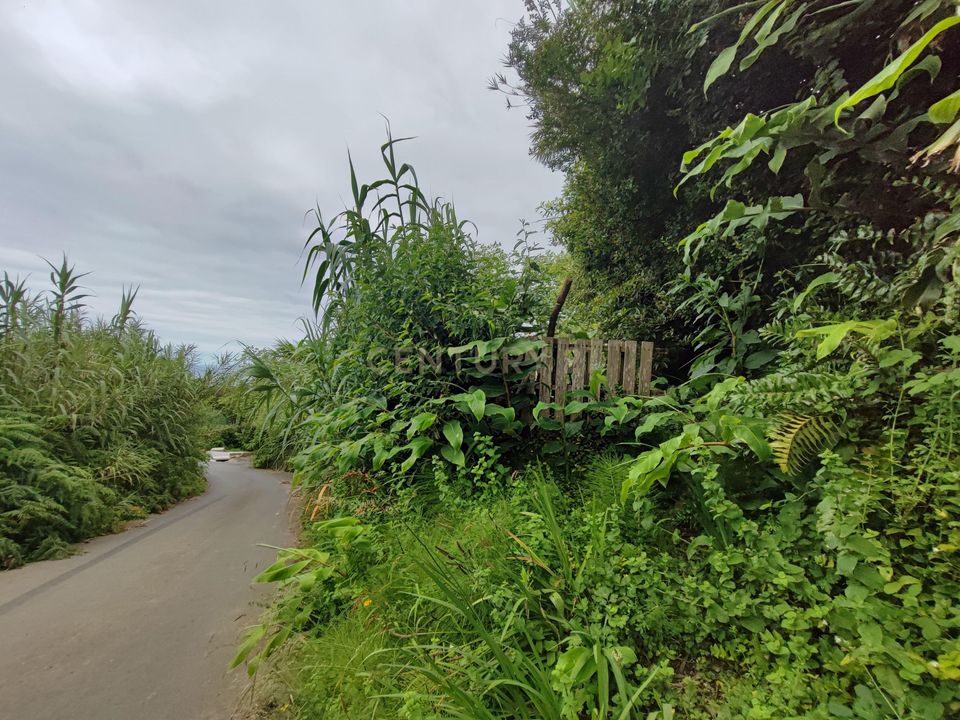 Helårsgrund i Lomba da Maia, Sao Miguel - foto 3