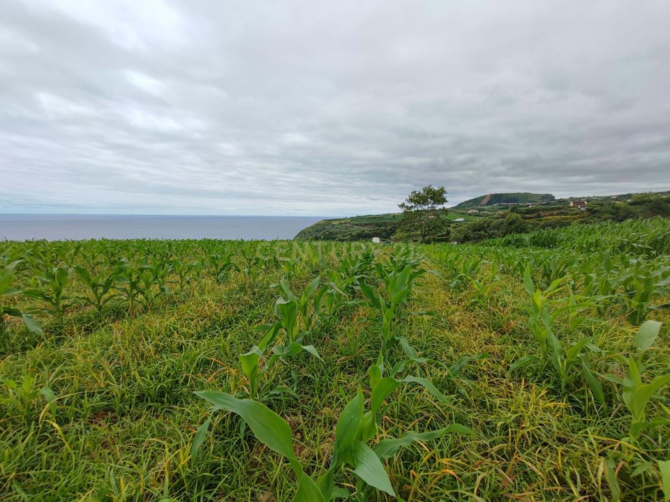 Helårsgrund i Lomba da Maia, Sao Miguel - foto 1