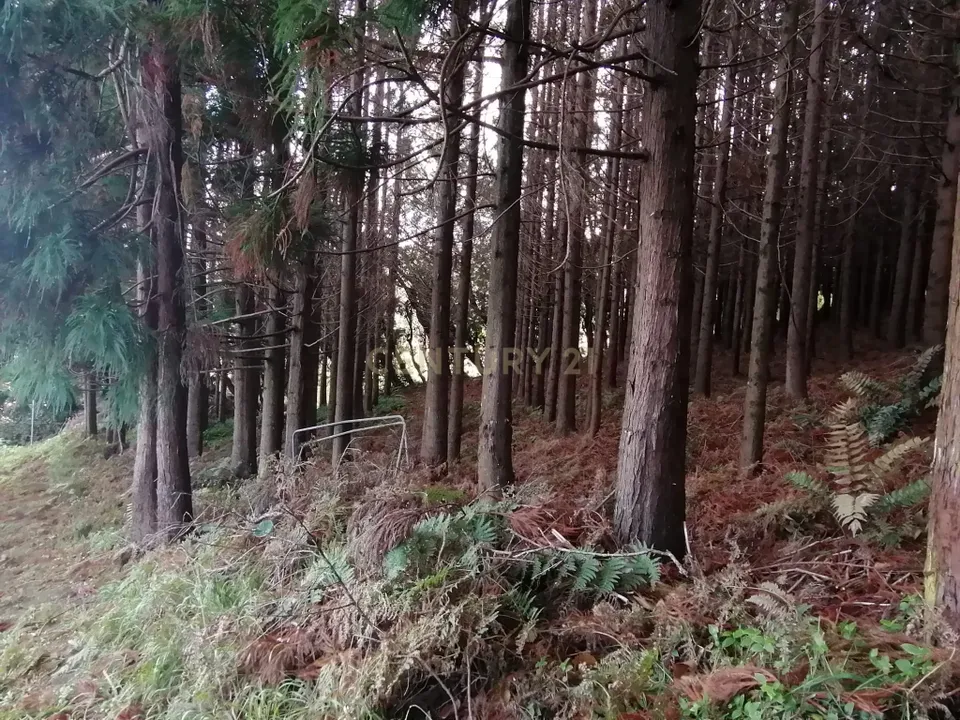Helårsgrund i Porto Formoso, Sao Miguel - foto 1