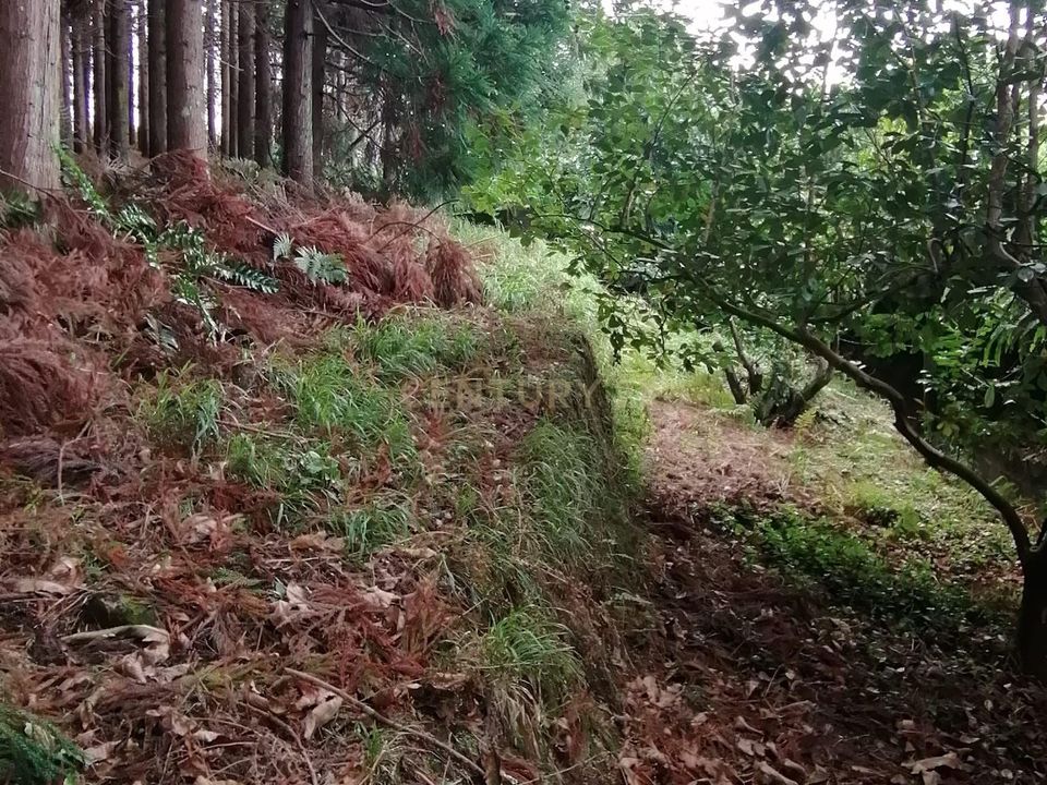 Helårsgrund i Porto Formoso, Sao Miguel - foto 4