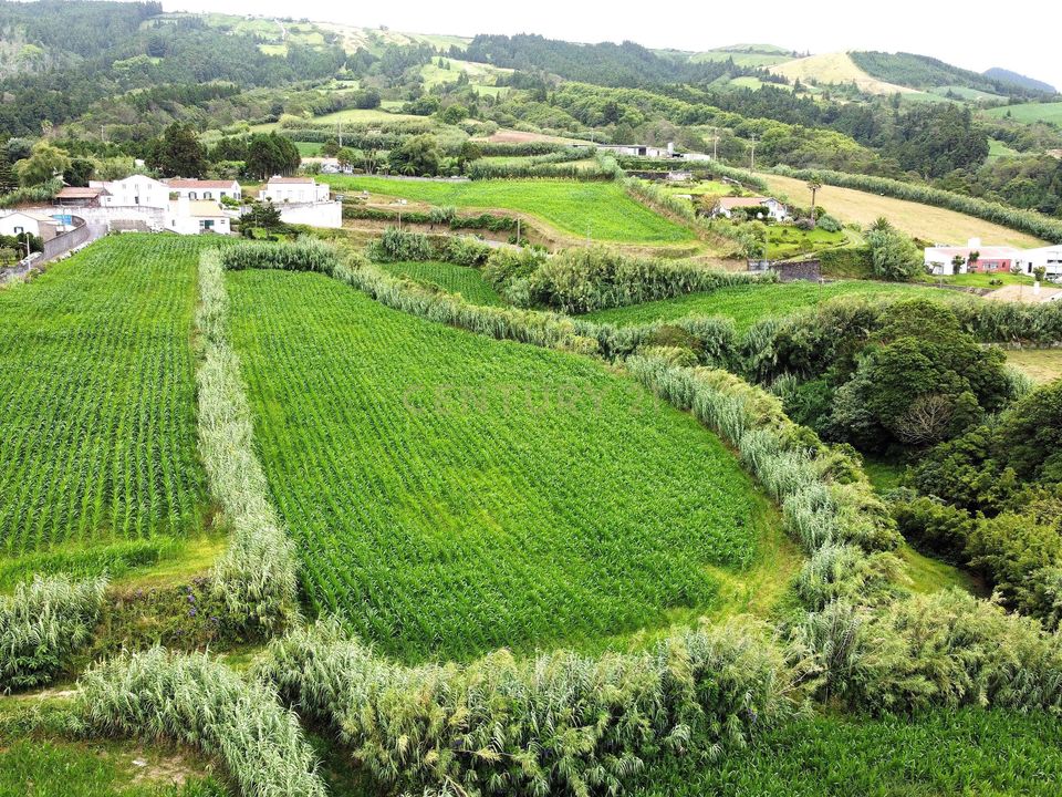 Tomt i Ginetes, Sao Miguel - bilde 1