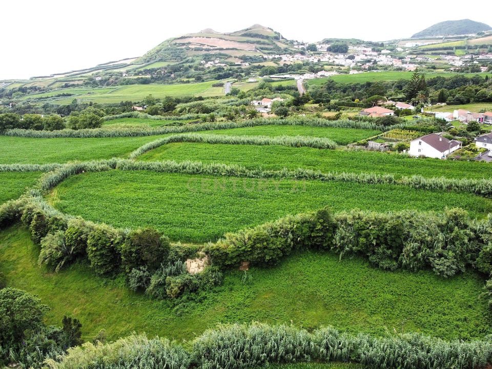 Tomt i Ginetes, Sao Miguel - bilde 4