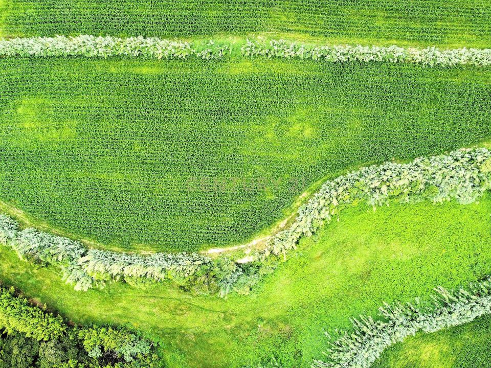 Tomt i Ginetes, Sao Miguel - bilde 5